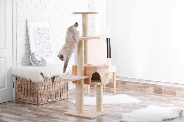 arbre a chat design