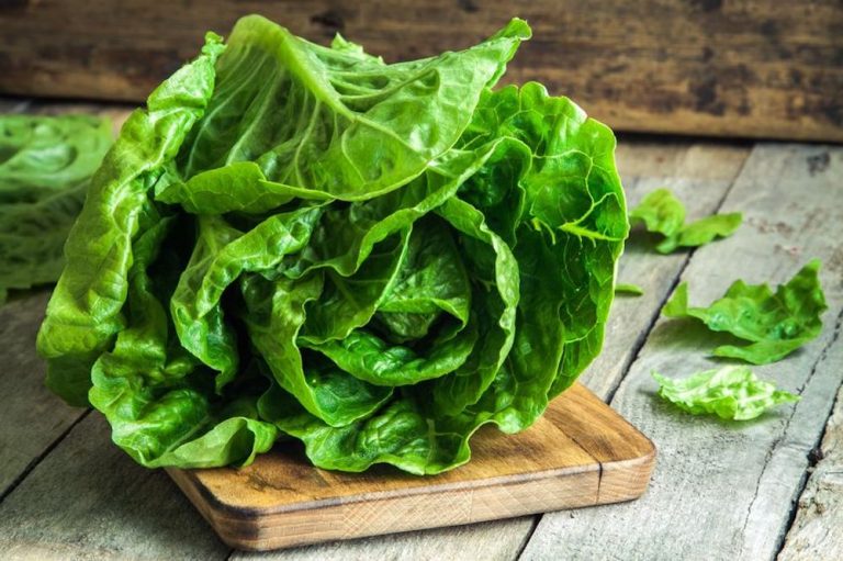 comment conserver la salade - astuces