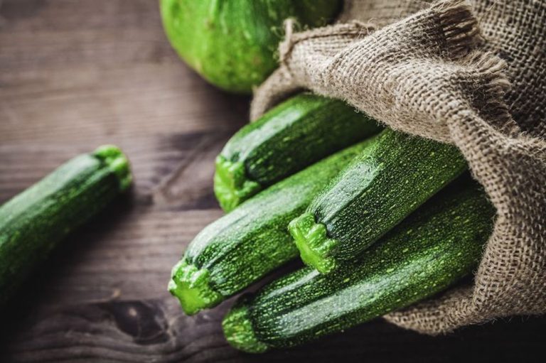 comment planter les courgettes