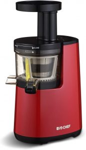 extracteur de jus BioChef Atlas Whole Slow Juicer
