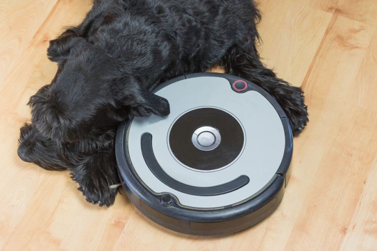 meilleur aspirateur robot animaux