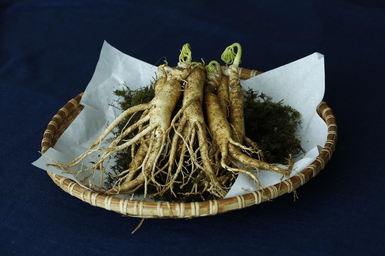 Quels sont les bienfaits du ginseng : pourquoi consommer du ginseng ?