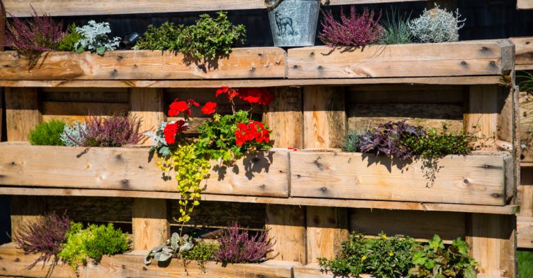 jardin vertical en palette