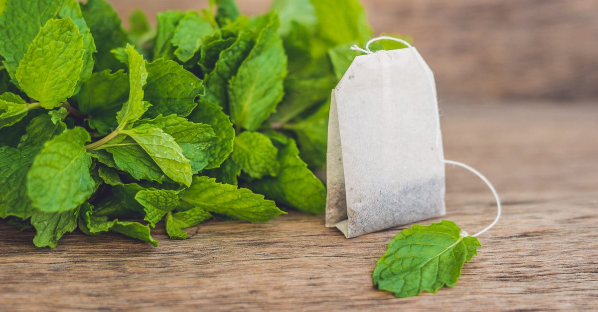 pourquoi planter des sachets de thé dans le jardin