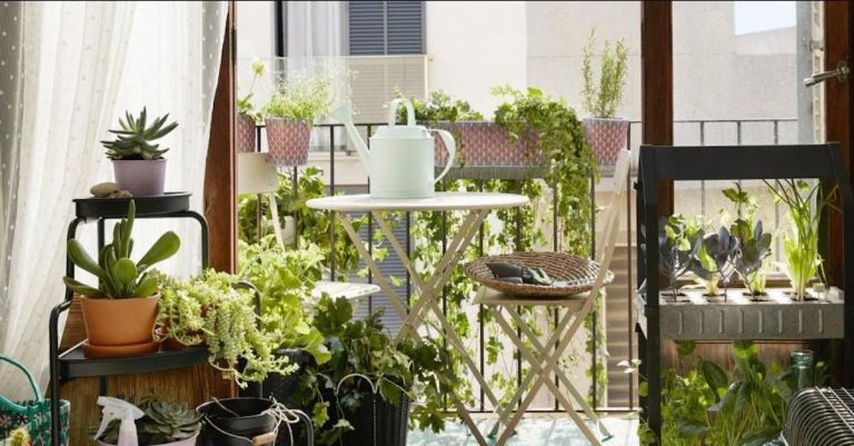 quelles plantes pour un balcon oriente nord