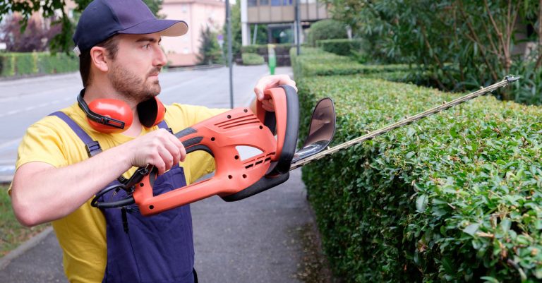 Faire tailler ses haies par un professionnel : pensez à déduire les frais de vos impôts