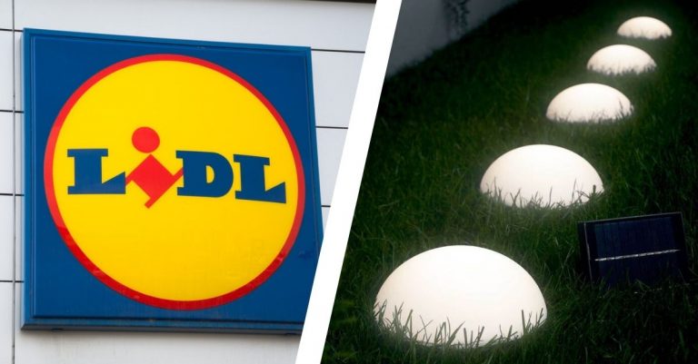 lidl balises solaires led pas cher promo