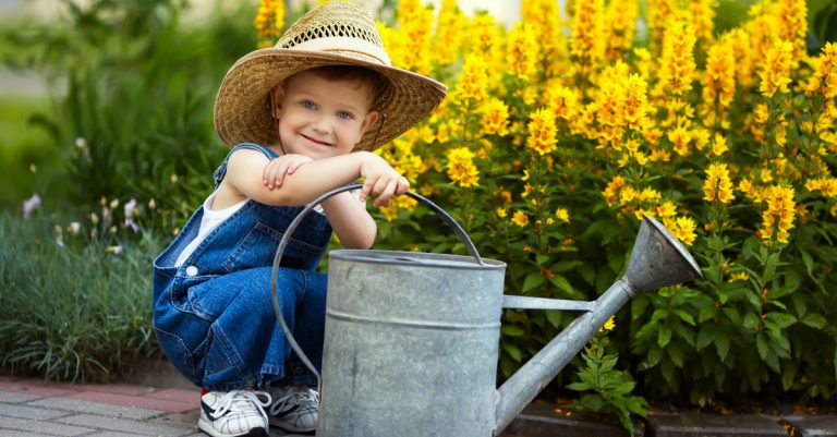 quand arroser jardin et potager