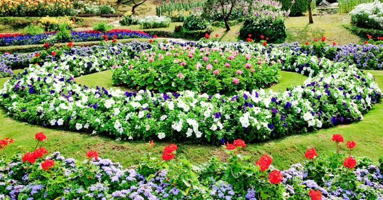 Ces 4 plantes vivaces sont parfaites pour un jardin fleuri une bonne partie de l’année
