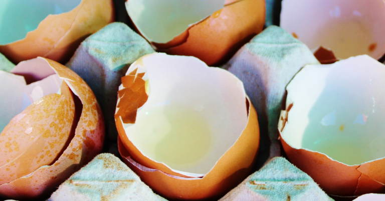 Utiliser des coquilles d'oeufs pour apporter du calcium aux plantes, une astuces pour de belles fleurs