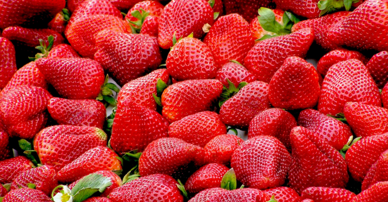 chose à ne pas faire avec les fraises