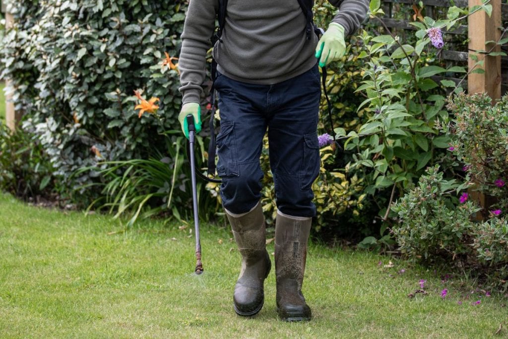 entretien jardin contre serpents jardin