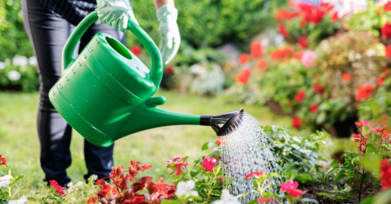 À quel moment de la journée arroser son jardin pendant les périodes de fortes chaleurs
