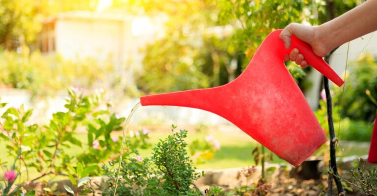 Comment arroser son jardin en période de restriction d'eau