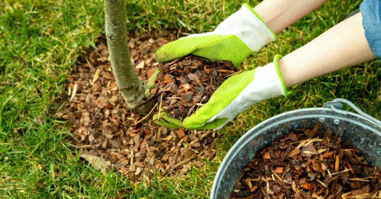 Comment pailler son jardin