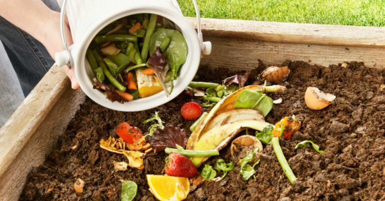Comment réussir son compost maison
