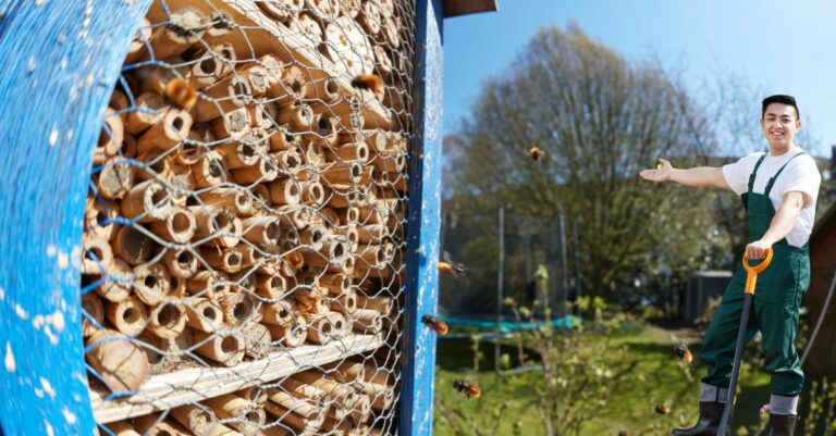 Comment sauver les abeilles Voici pourquoi vous devriez leur fabriquer un nid 100% naturel dans votre jardin