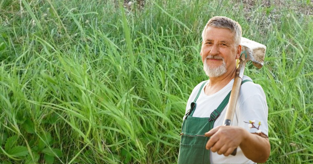 Comment se débarrasser du chiendent définitivement Ces 3 astuces sont les plus efficaces