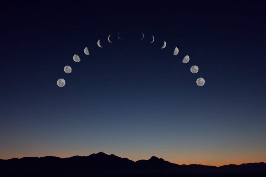 Les méthodes pour jardiner avec la lune