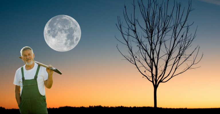 Comment jardiner avec la lune ?