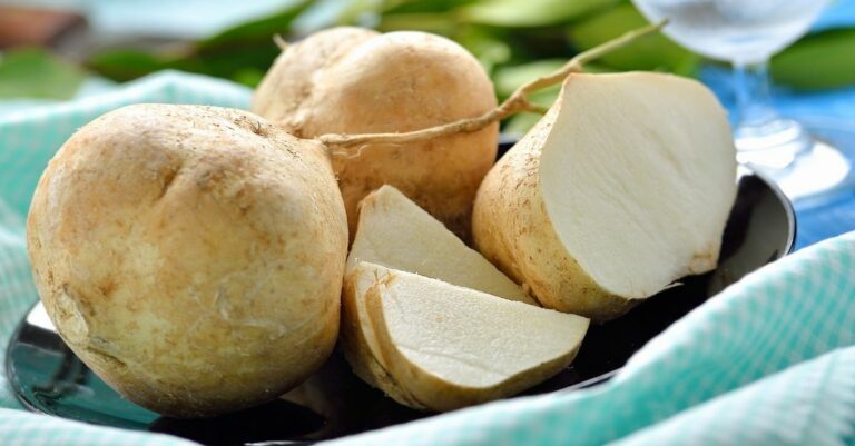 Patate douce LA nouvelle star des potagers ! Voici pourquoi vous devriez en planter dans votre potager, et comment la cultiver