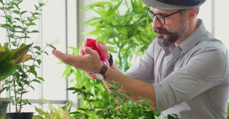 Plantes d'intérieur Voici pourquoi il ne faut (surtout) pas brumiser certaines variétés !