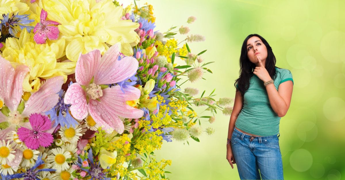 Quelles sont les fleurs qu'on peut planter en été