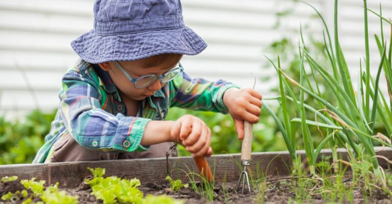 Quels sont les légumes les plus faciles à cultiver Ces 8 variétés sont parfaites pour les débutants