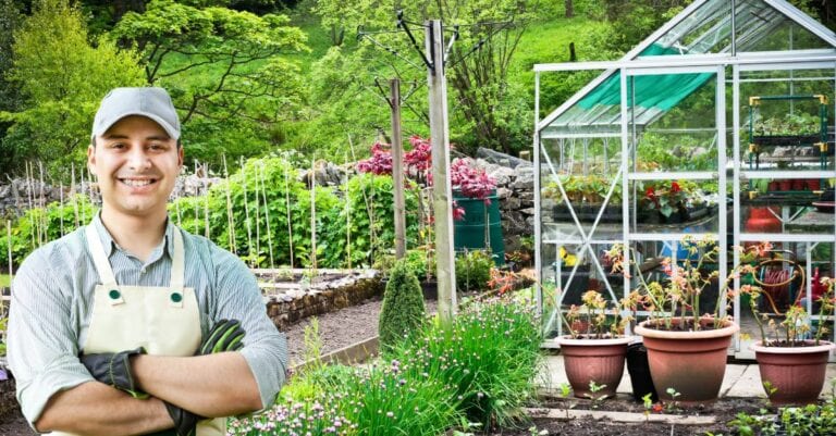 Semis, repiquages et plantations Quels légumes planter au potager en août