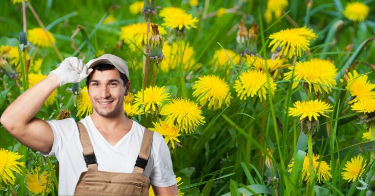Comment se débarrasser des pissenlits de façon naturelle 7 astuces de jardinier à connaître