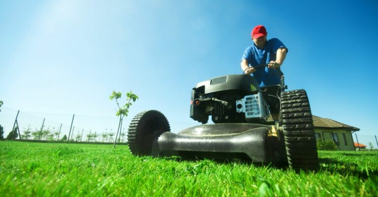 Les conseils pour tondre son gazon à la bonne hauteur