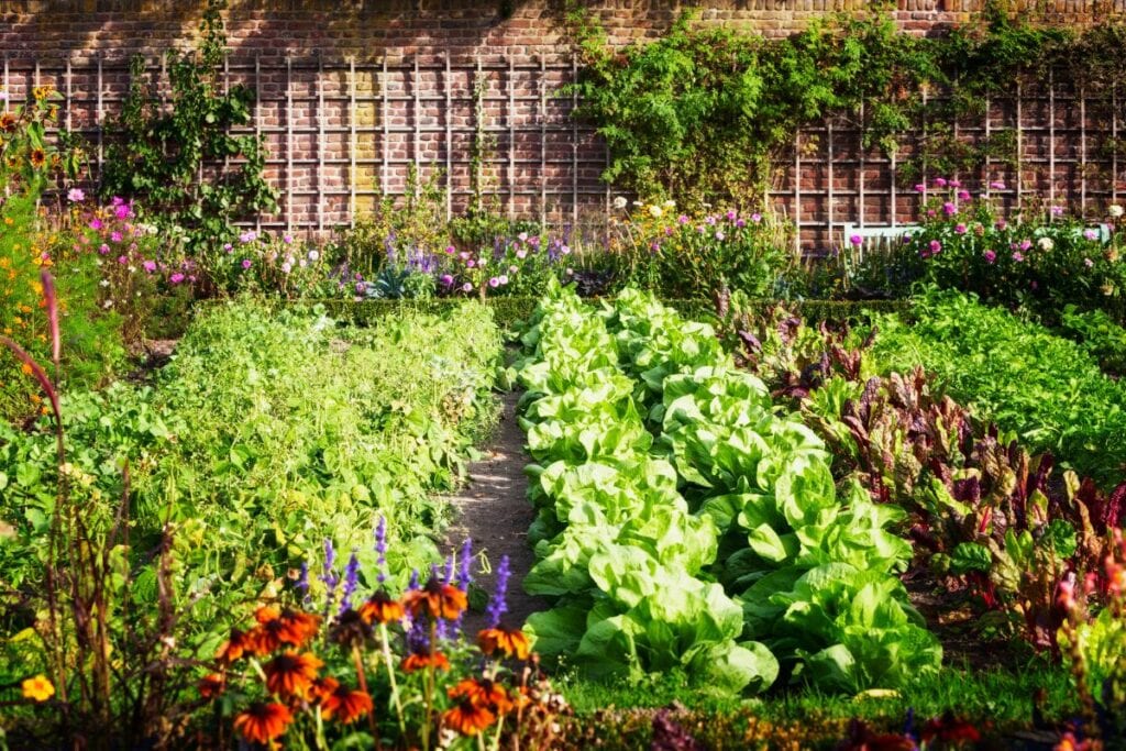 Bien préparer son potager pour l'hiver
