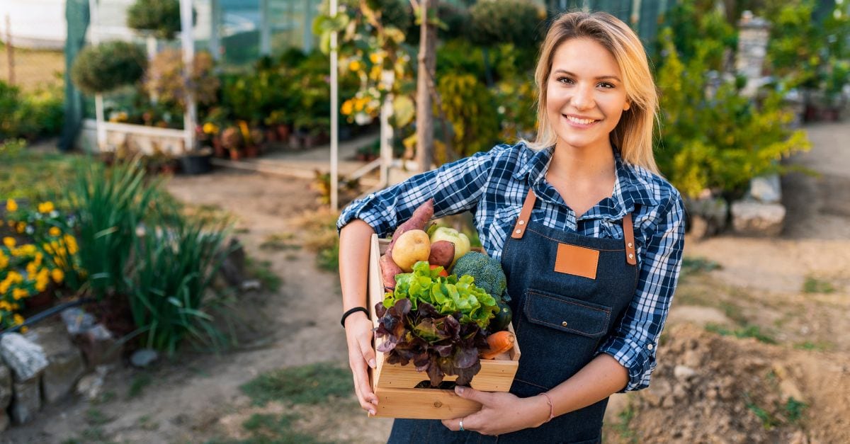 Comment augmenter le rendement au potager pour l'hiver ?