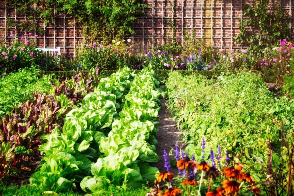 Les bon gestes pour protéger son potager des orages