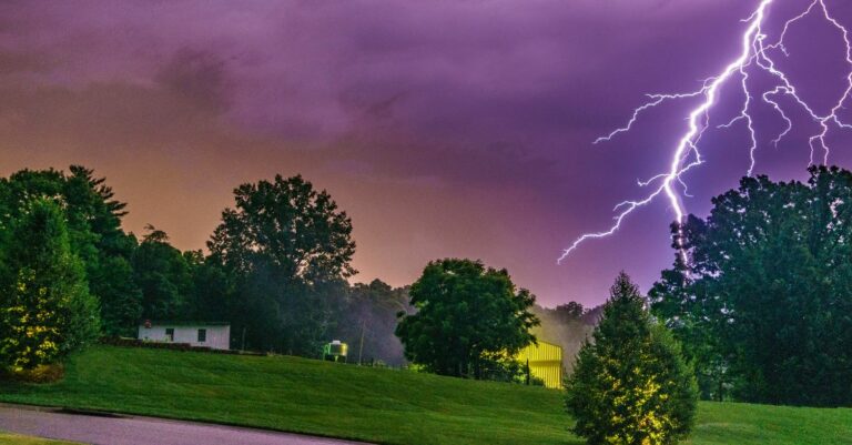 Les méthodes pour protéger son potager des orages