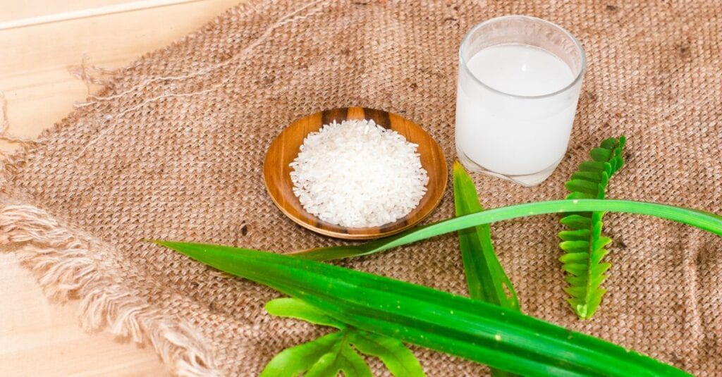 Comment faire pousser les plantes plus vite ?
