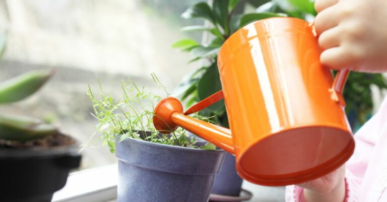 Comment favoriser la croissance des plantes ?