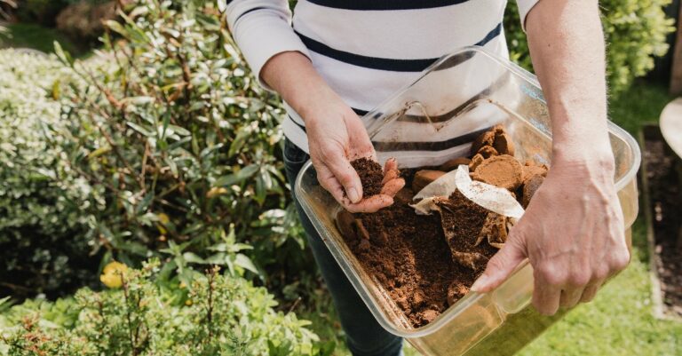 est-ce que le marc de cafe est bon pour le jardin
