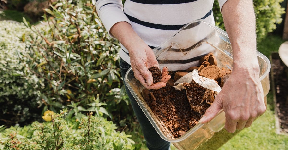 est-ce que le marc de cafe est bon pour le jardin