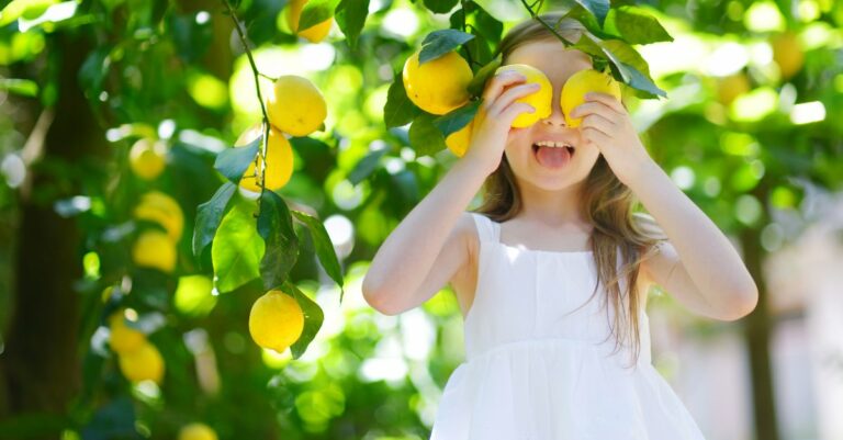 peau de citron dans le jardin