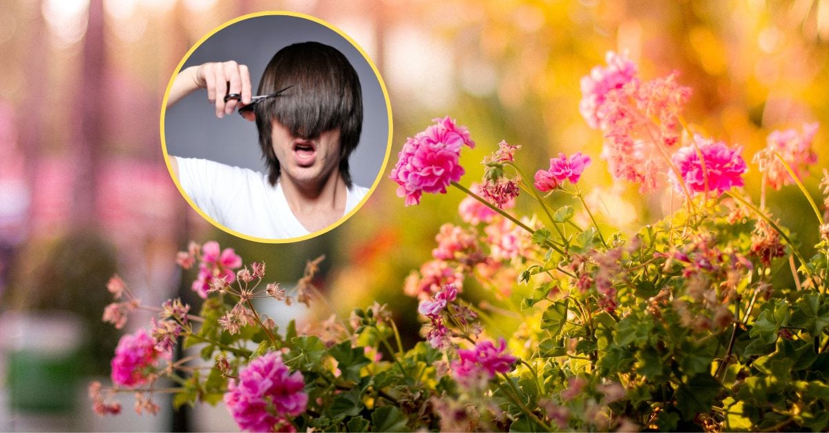 Comment recycler les cheveux coupés au jardin et les utiliser comme engrais naturel ?