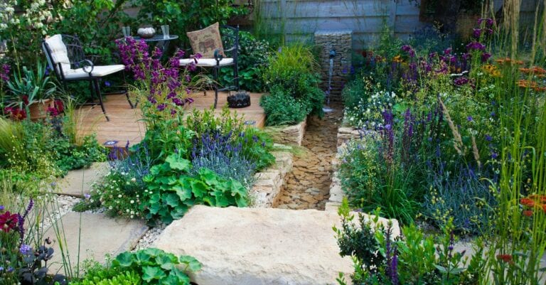 plantes vivaces fleurissent facilement chaque année sans entretien