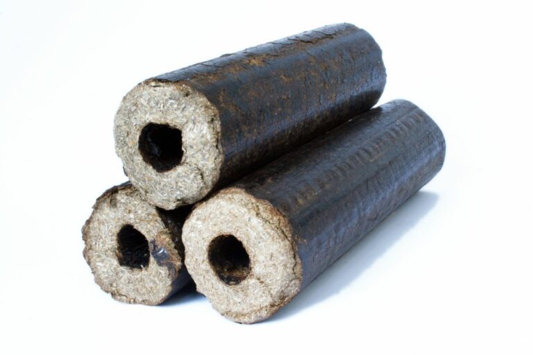 buche compressée