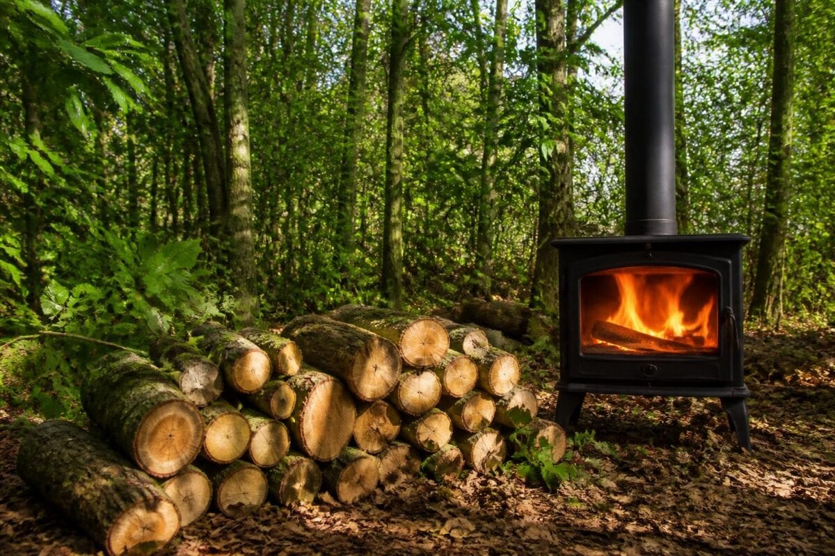 découvrez comment utiliser le laurier comme bois de chauffage écologique et performant grâce à ce guide pratique complet. astuces, conseils et avantages pour un chauffage naturel et efficace.