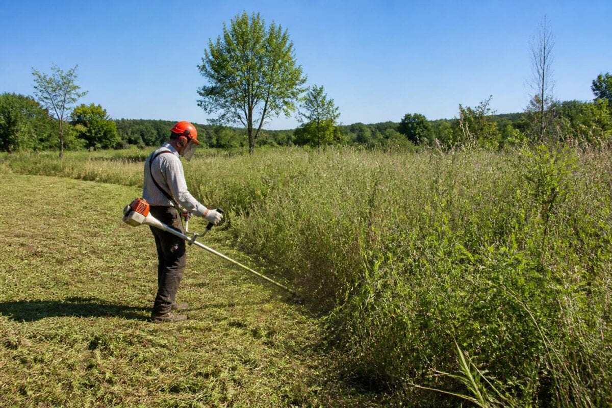 découvrez combien de temps il faut pour débroussailler efficacement une surface de 1000 m², avec des conseils pratiques et des méthodes adaptées.